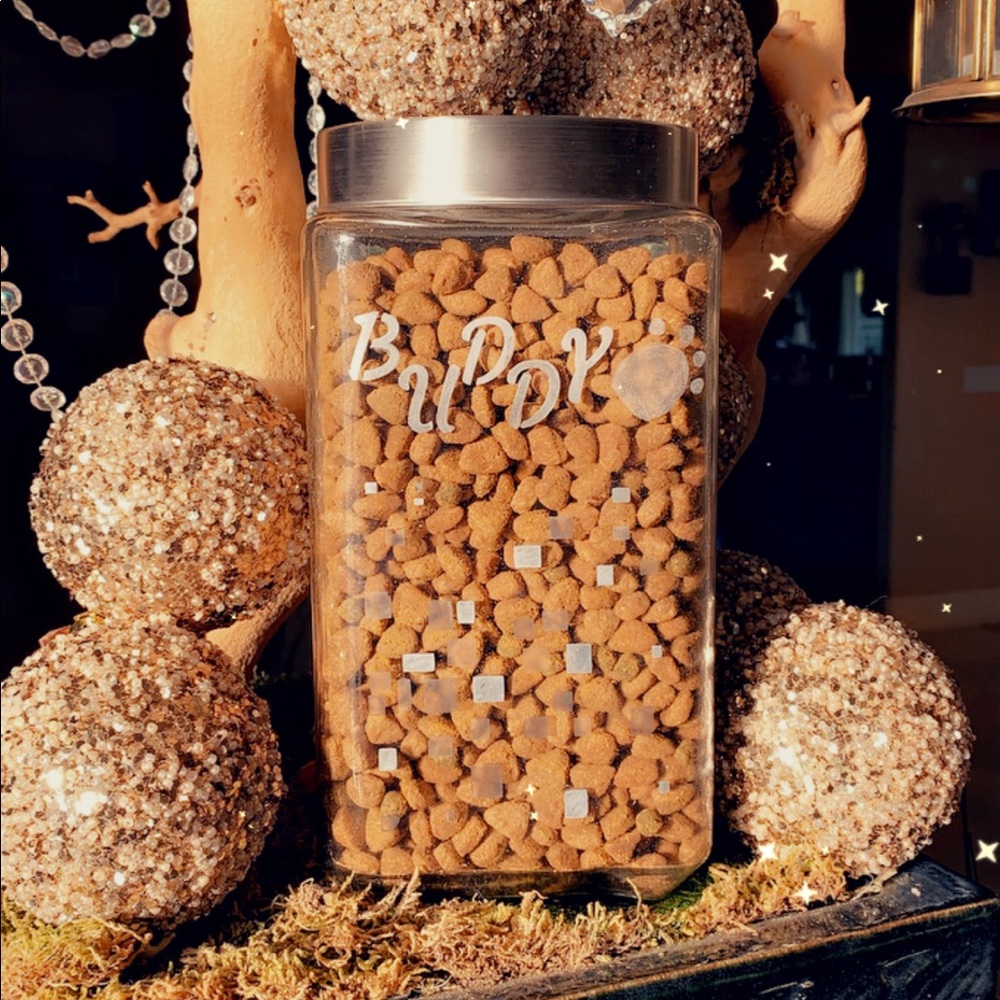 Pet food storage, pet food container.